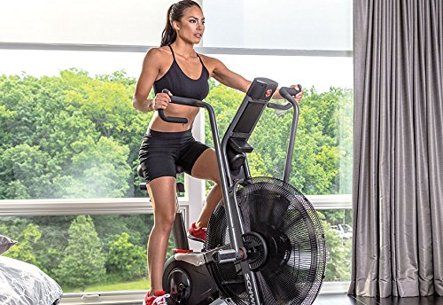 Best airdyne best sale exercise bike